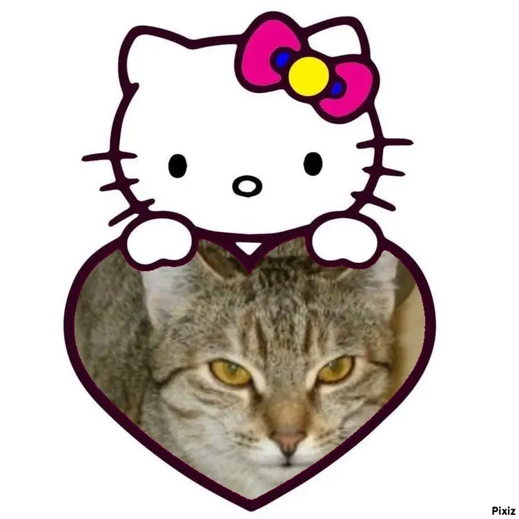 Condolence image of Tanja mit Timmy im Herzen 