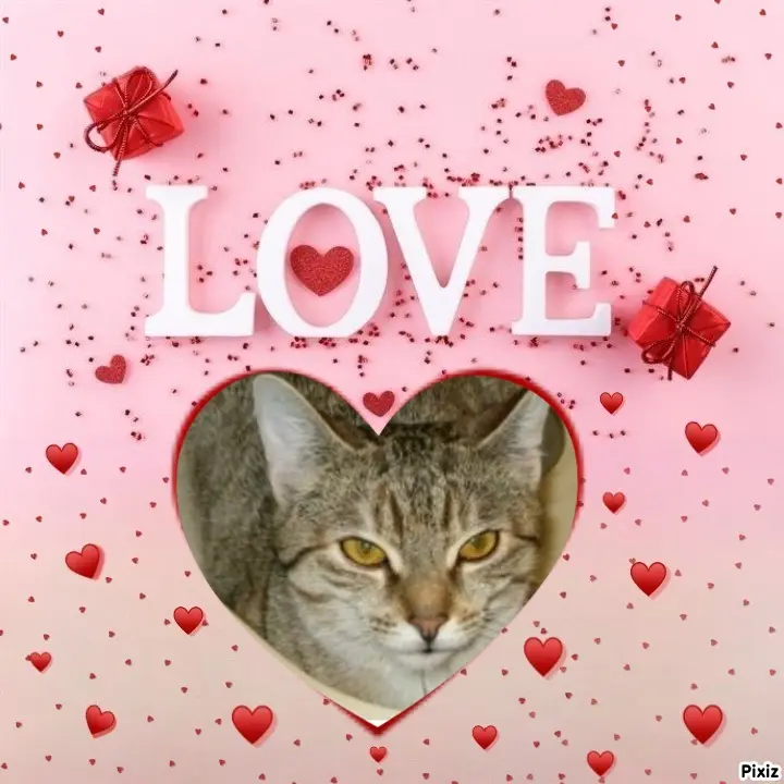 Condolence image of Tanja mit Timmy im Herzen 