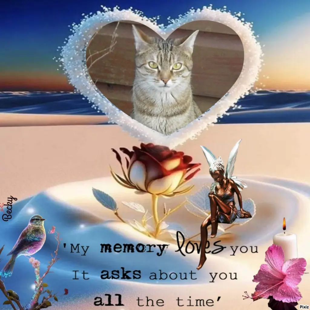 Condolence image of Patricia mit Bunny ❤️ 