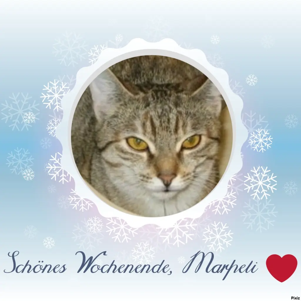 Condolence image of Tanja mit Timmy im Herzen 