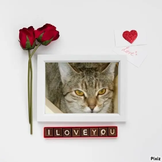 Condolence image of Tanja mit Timmy im Herzen 