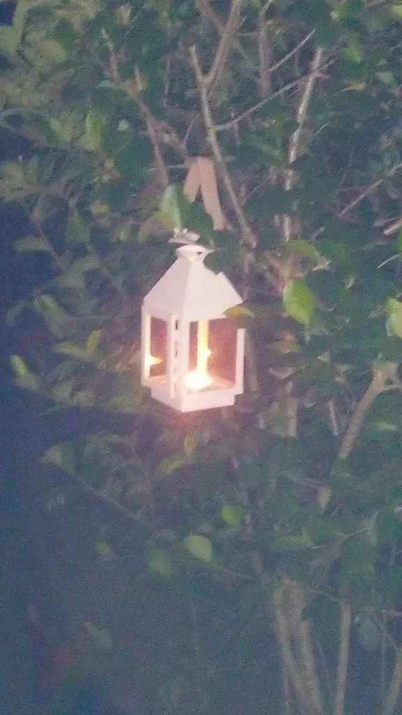 Condolence image of an mein Marpeli