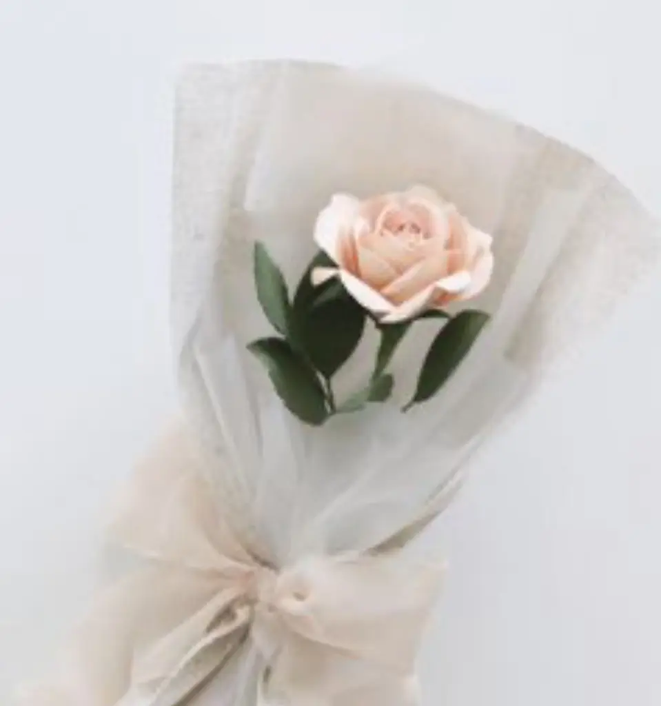 Condolence image of An Marpeli und Elisabeth 