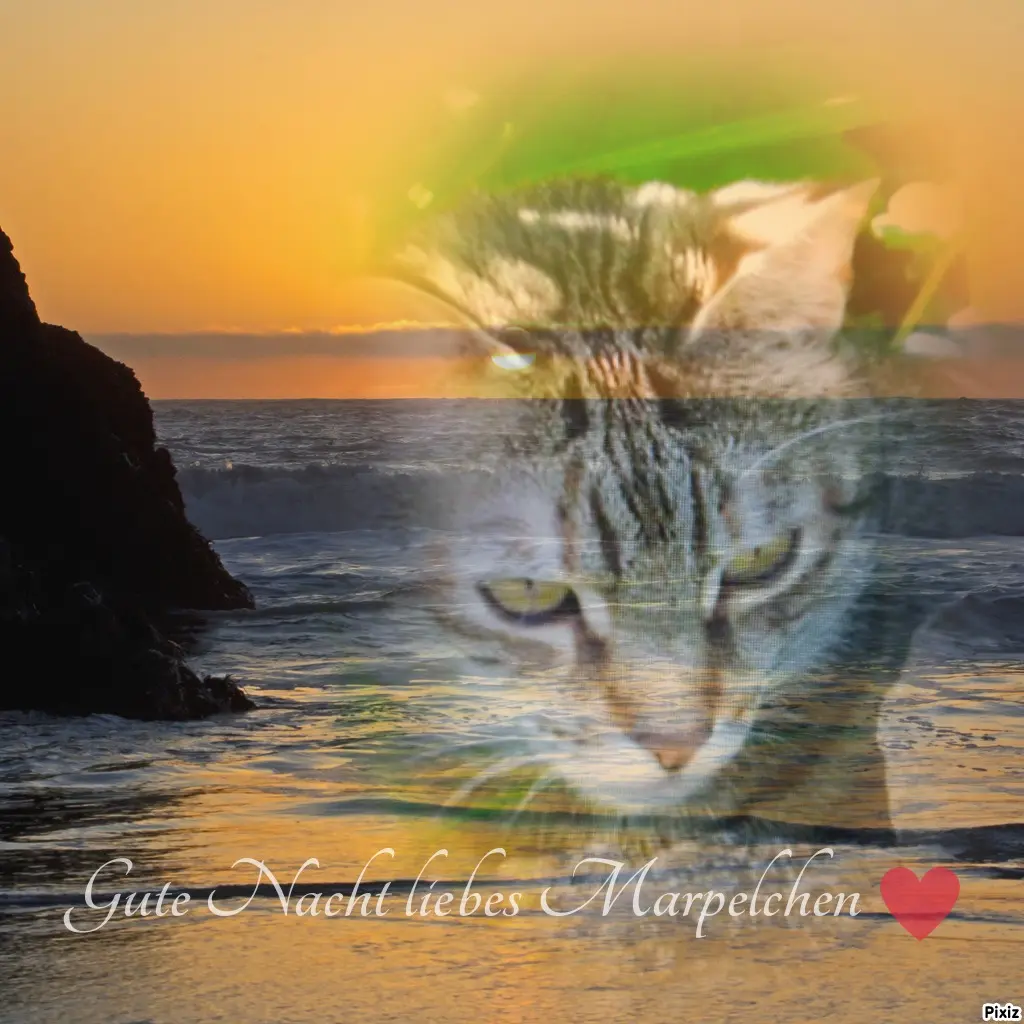 Condolence image of Für Dich mein kleines Marpelchen ♥️