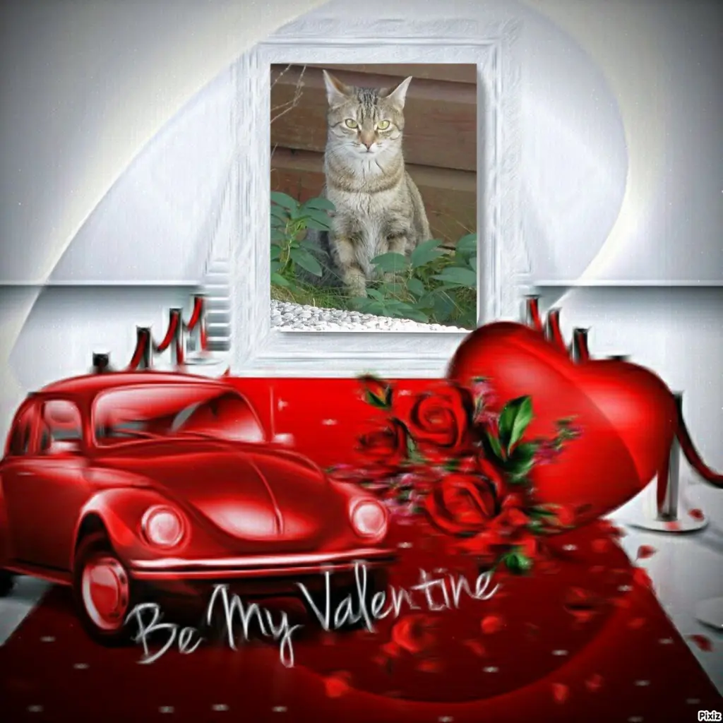 Condolence image of Patricia mit Bunny ❤️ 