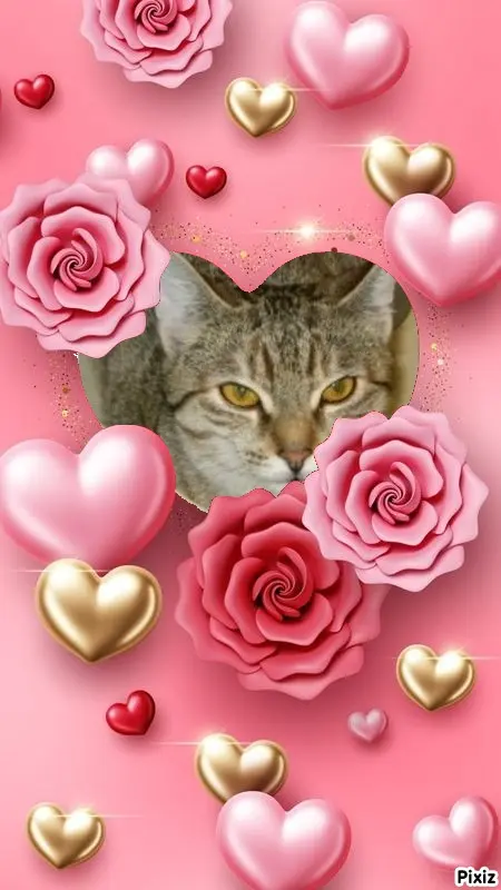 Condolence image of Tanja mit Timmy im Herzen 