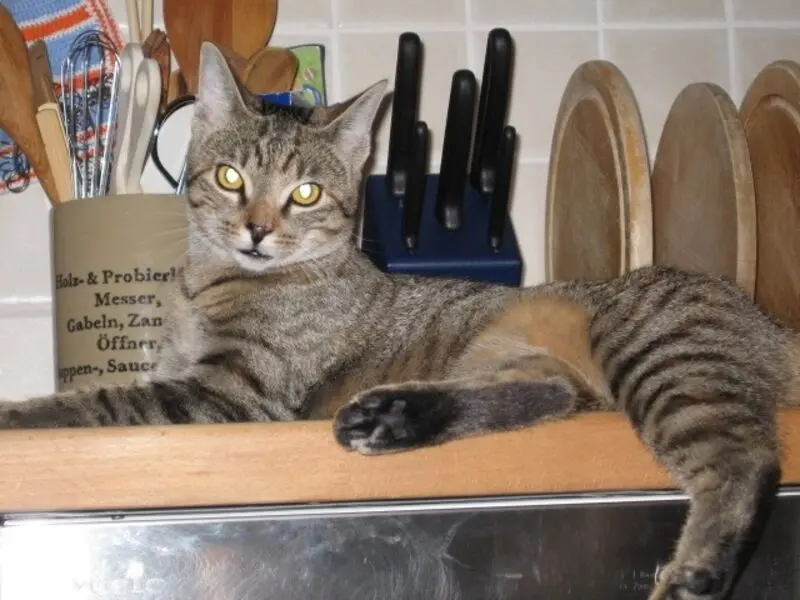 Condolence image of an Marple und Christie