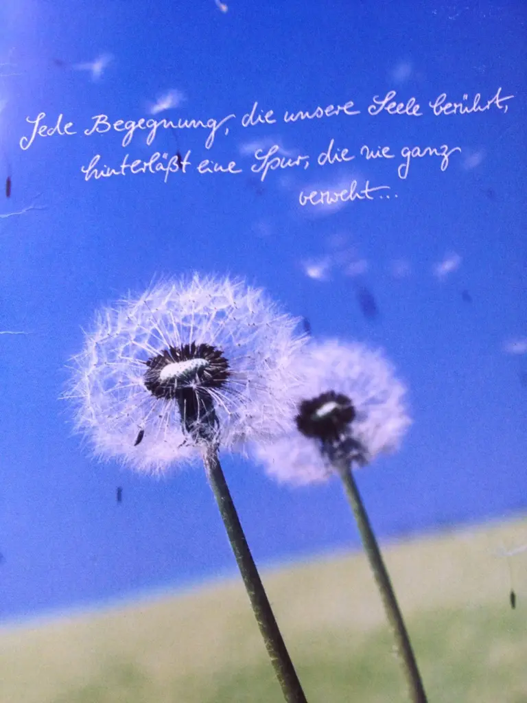 Condolence image of Für Elisabeth mit Christie und Marple ❤️