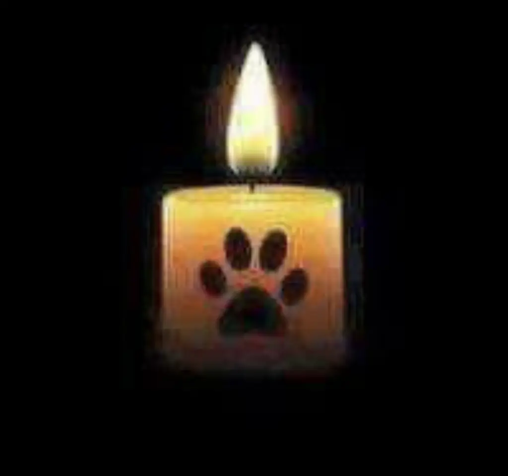 Condolence image of An Marple