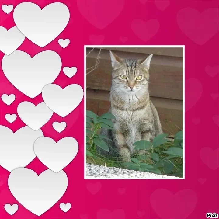 Condolence image of Patricia mit Bunny ❤️