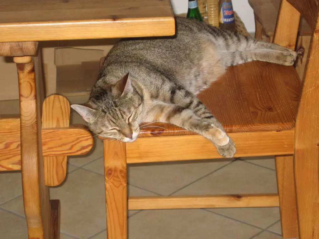 Condolence image of Post an meine Kleine