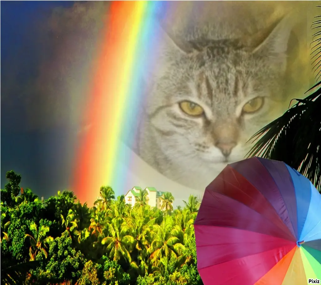 Condolence image of Tanja mit Timmy im Herzen 