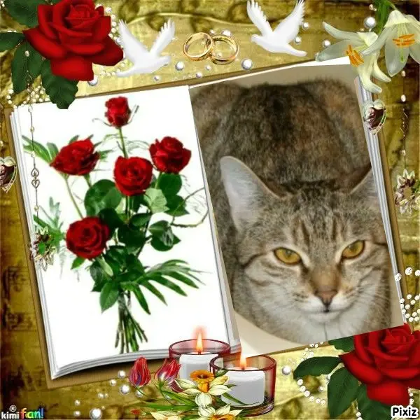 Condolence image of Tanja mit Timmy im Herzen