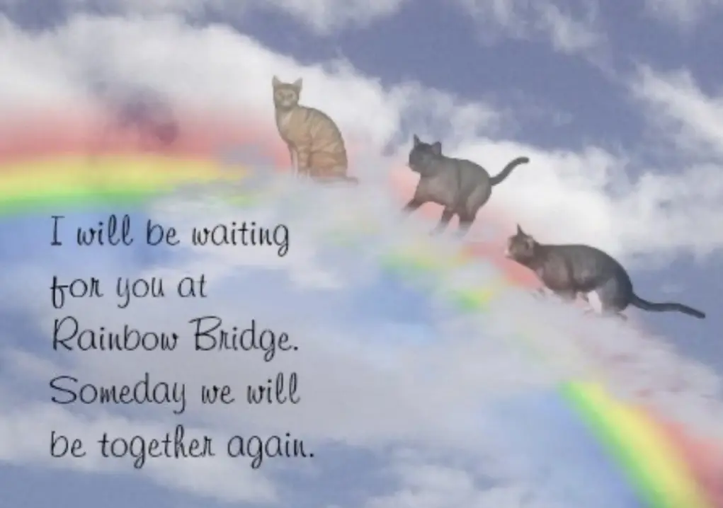 Condolence image of An Marpeli und Mama Elisabeth