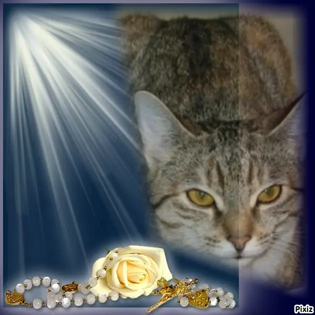 Condolence image of Tanja mit Timmy im Herzen 