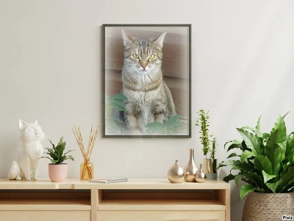 Condolence image of Patricia mit Bunny ❤️ 