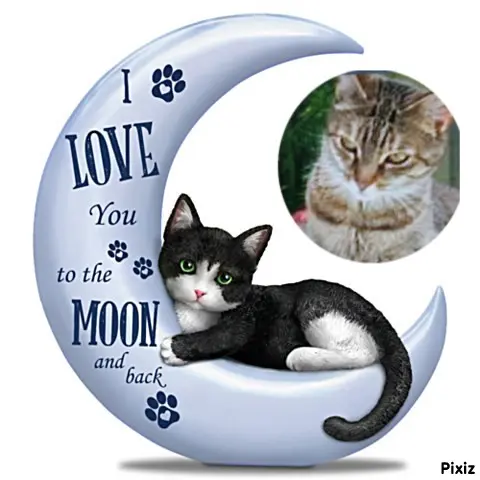 Condolence image of Für Dich kleines Marpelchen ♥️