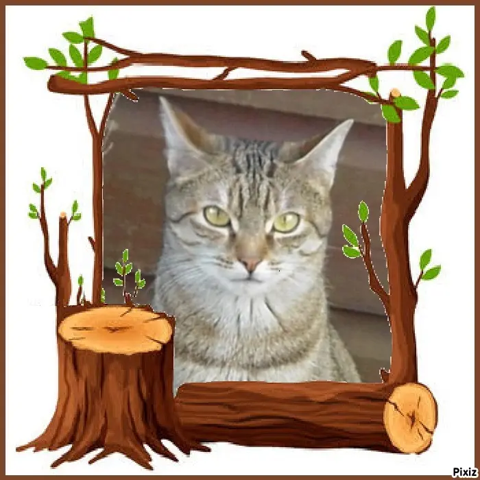 Condolence image of Patricia mit Bunny ❤️