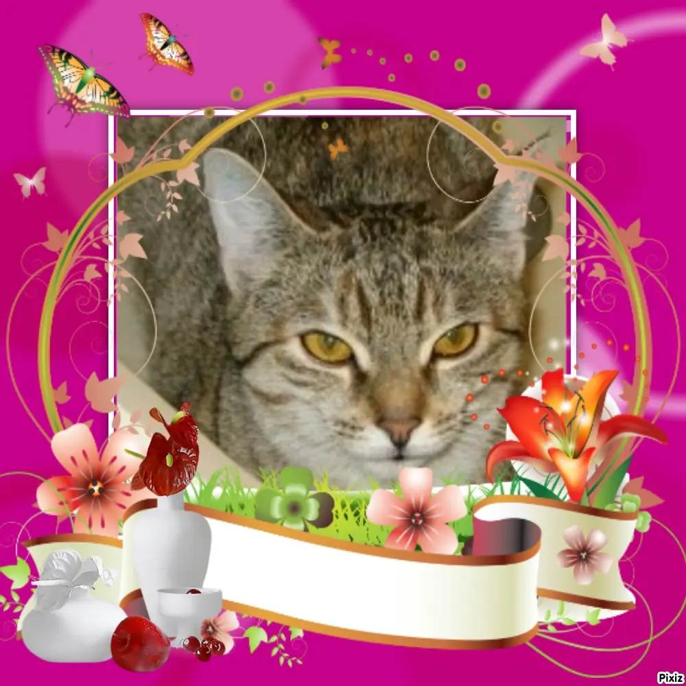 Condolence image of Tanja mit Timmy im Herzen