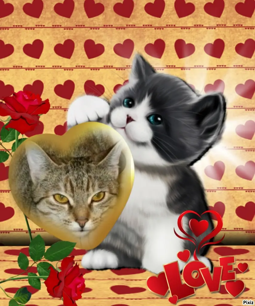 Condolence image of Tanja mit Timmy im Herzen