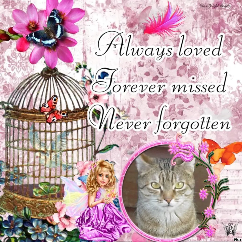 Condolence image of Patricia mit Bunny ❤️ 