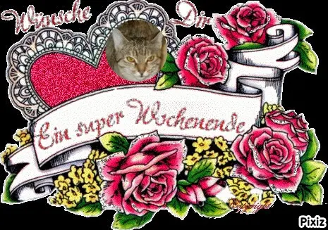 Condolence image of Tanja mit Timmy im Herzen 