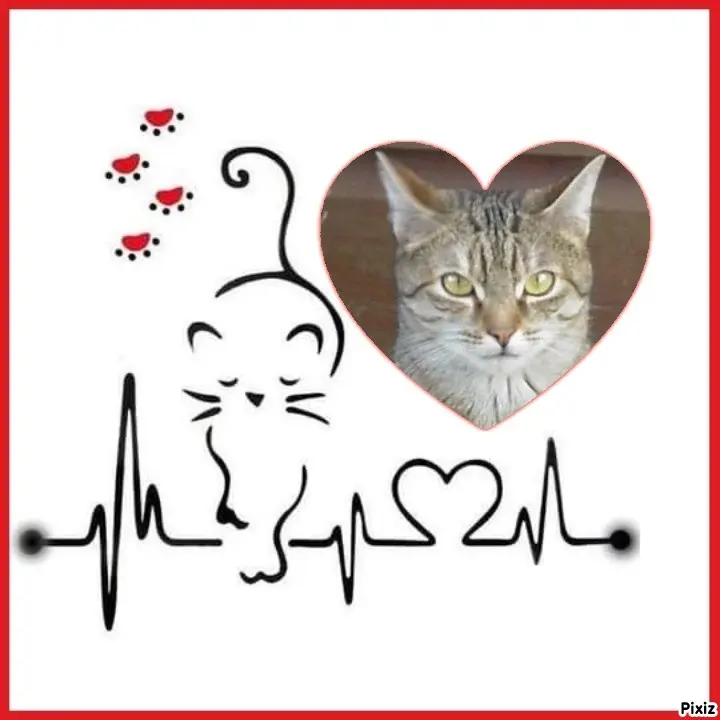 Condolence image of Patricia mit Bunny ❤️ 