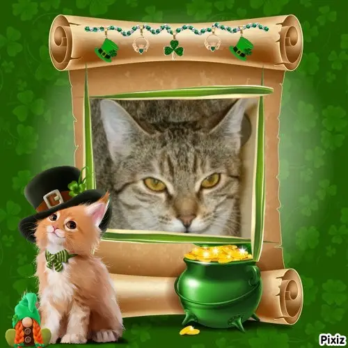 Condolence image of Tanja mit Timmy im Herzen