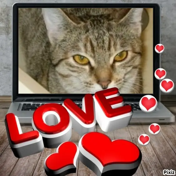 Condolence image of Tanja mit Timmy im Herzen 