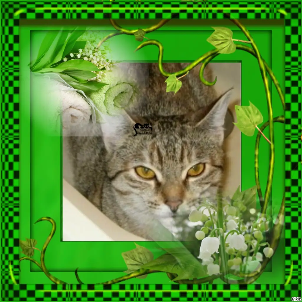 Condolence image of Tanja mit Timmy im Herzen 