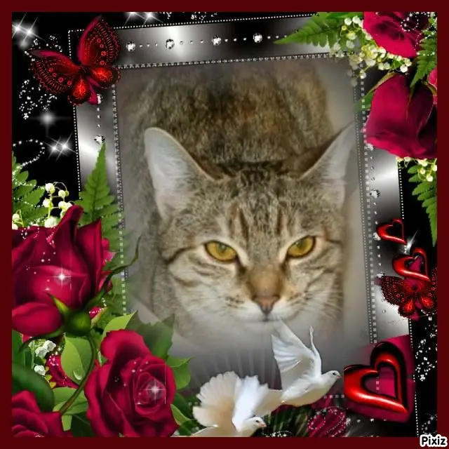 Condolence image of Tanja mit Timmy im Herzen 