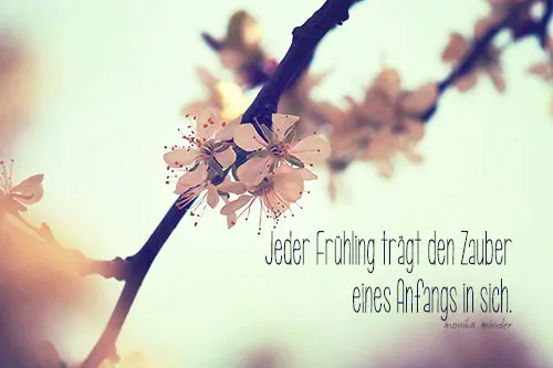 Condolence image of Für Marpelchen ❤️