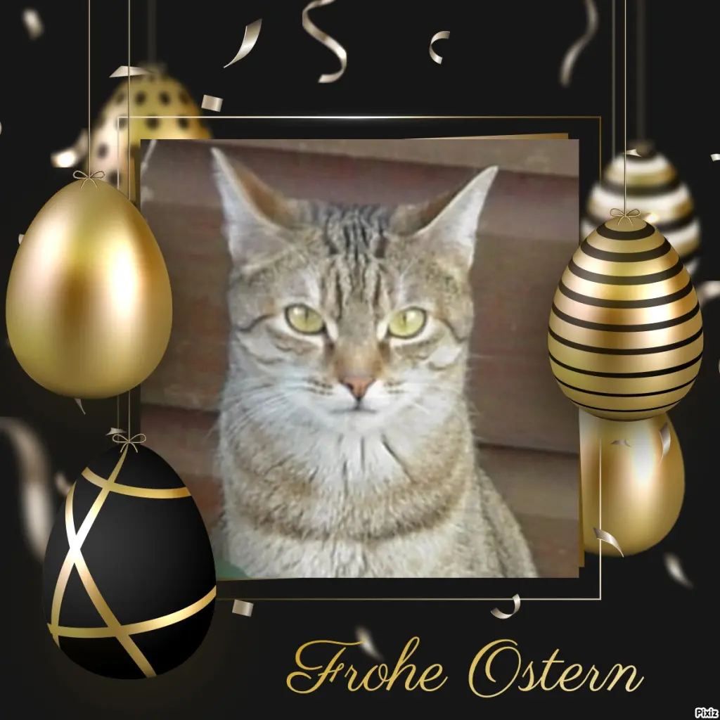 Condolence image of Ostergrüße ❤️