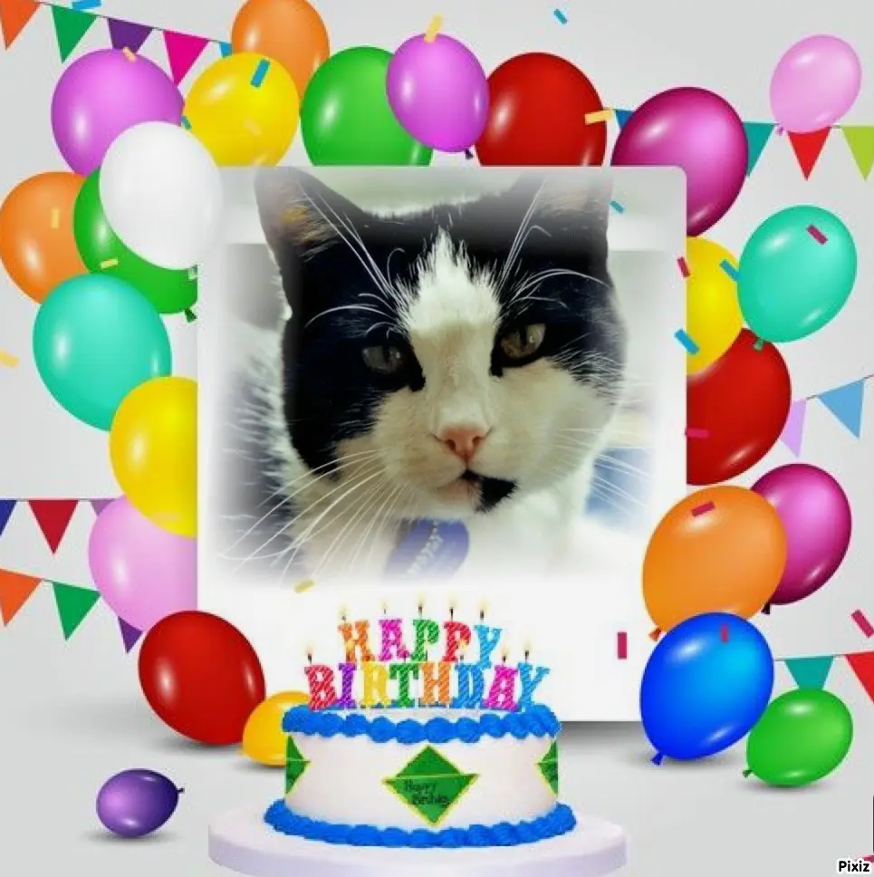 Condolence image of Timmys Mutti Tanja an Zwergenkönig Arafat ❤ und Mami Elisabeth ❤