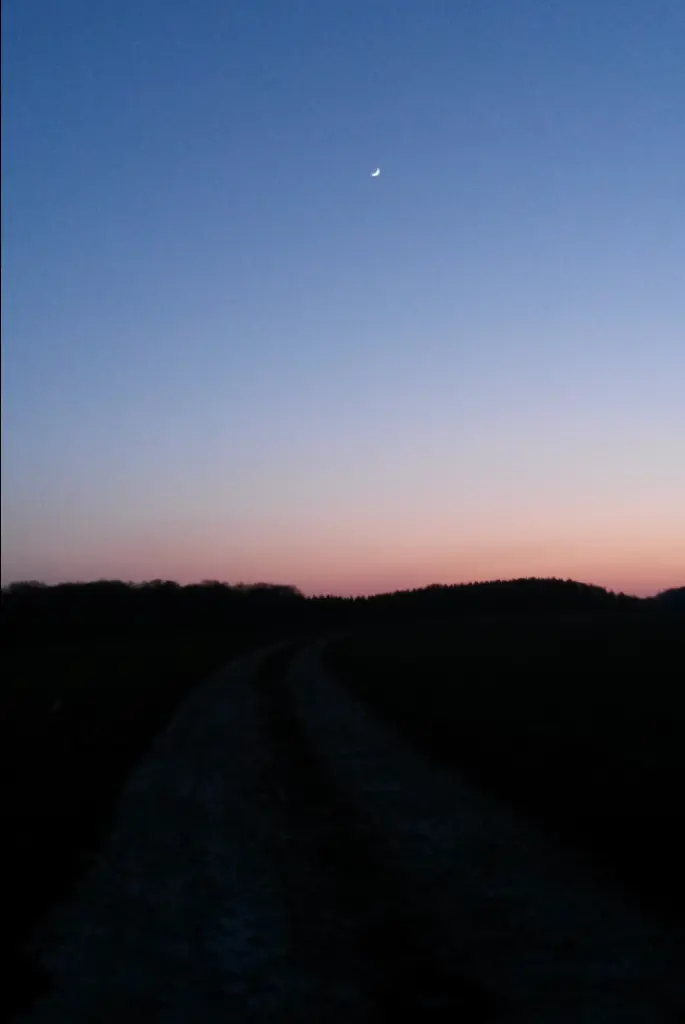 Condolence image of Corinna mit Emma, Pummelchen und anderen Sternlein im ❤️