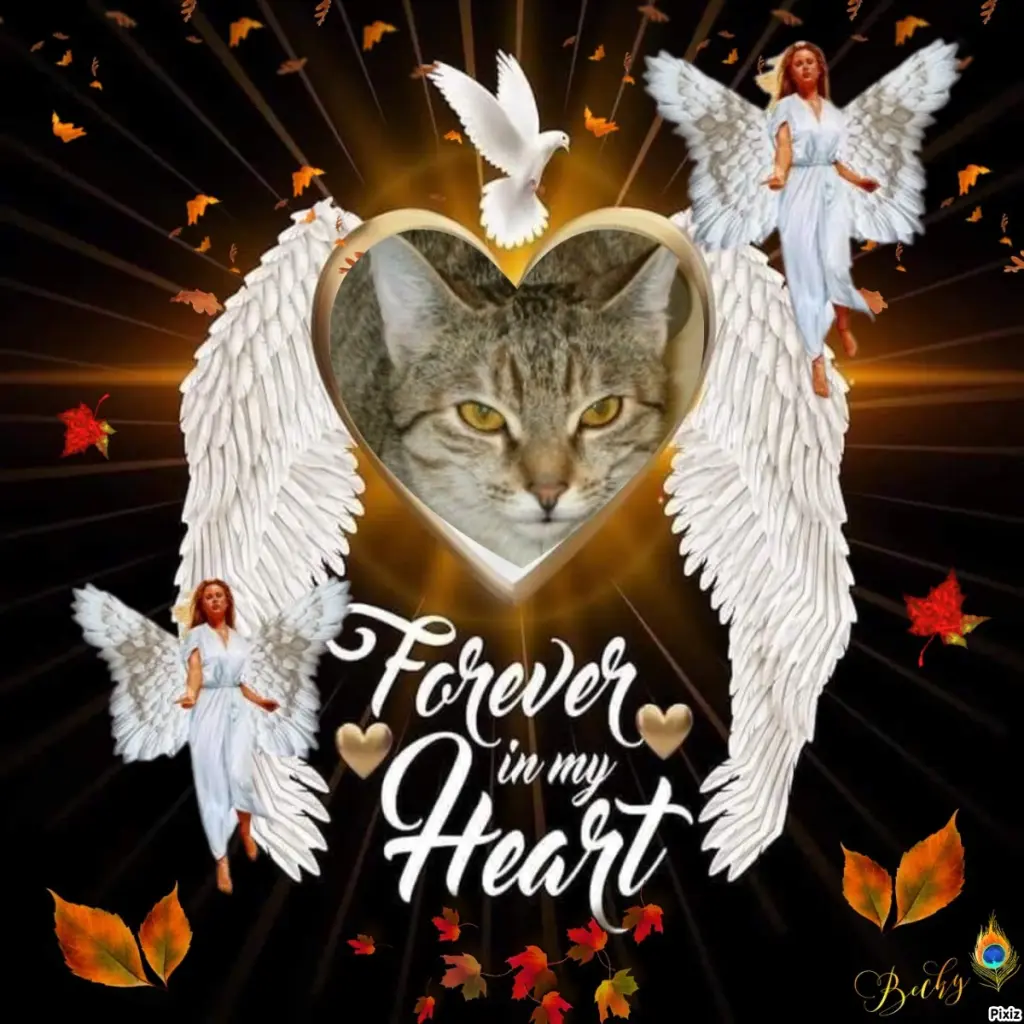 Condolence image of Tanja mit Timmy im Herzen 