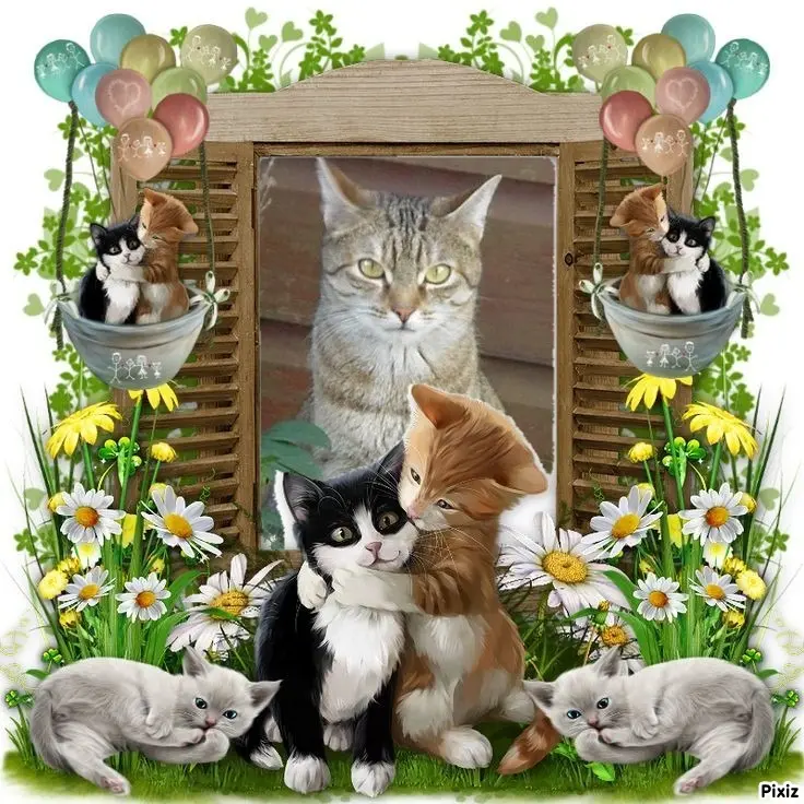 Condolence image of Sternchenpost ⭐