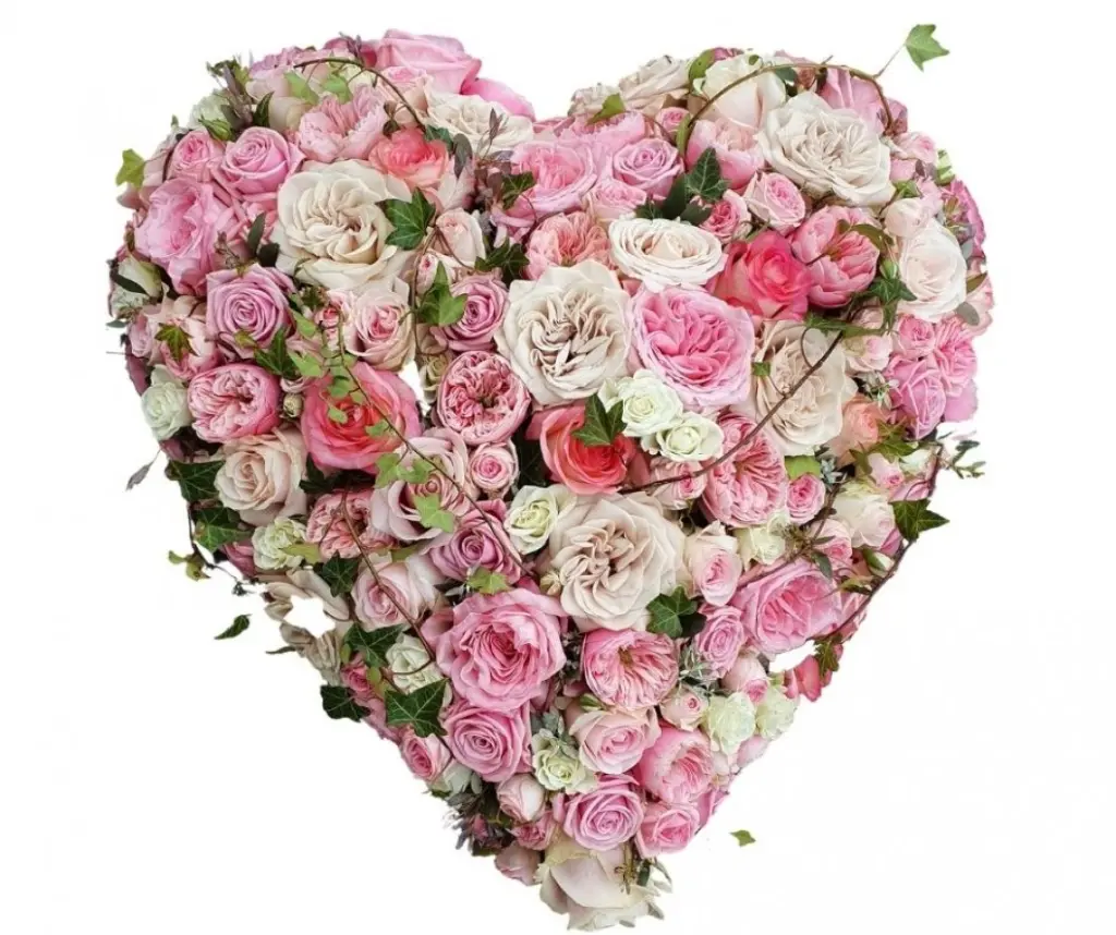 Condolence image of Für Marpelchen ❤️