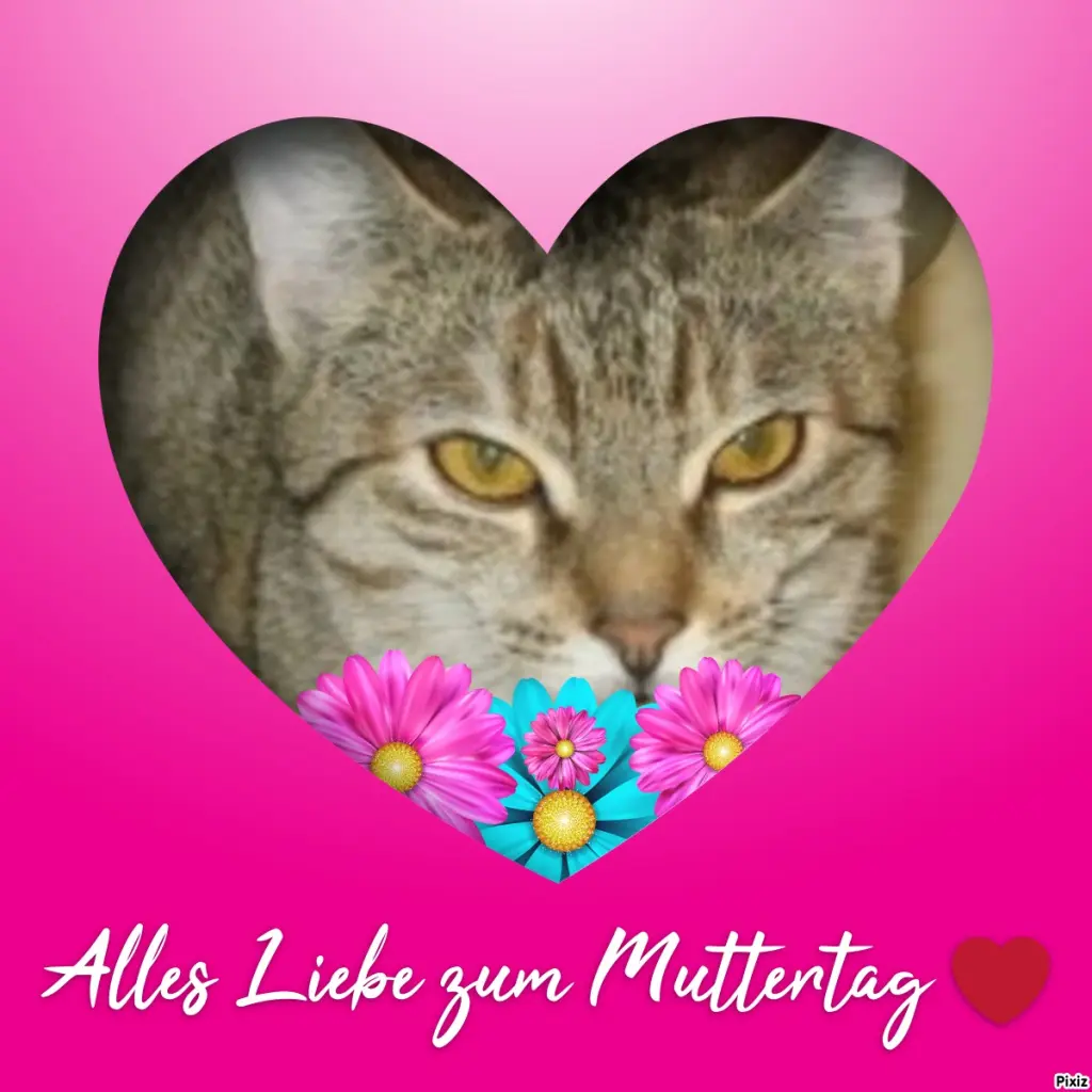 Condolence image of Post von Marpeli an Mami Elisabeth ❤