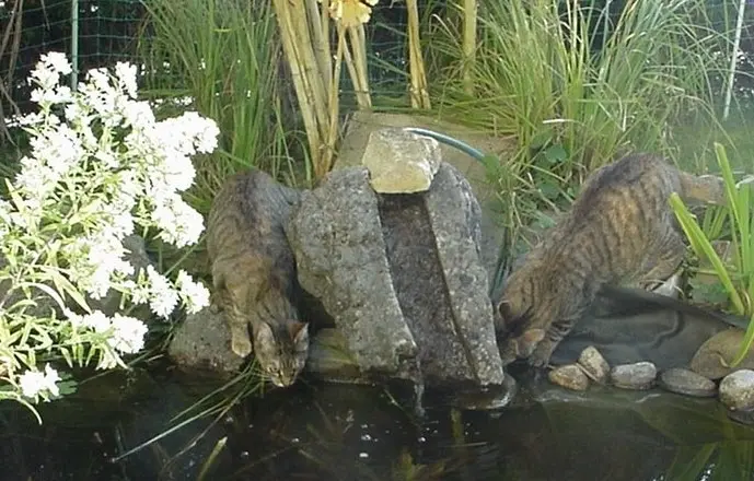 Condolence image of an mein Mädchen