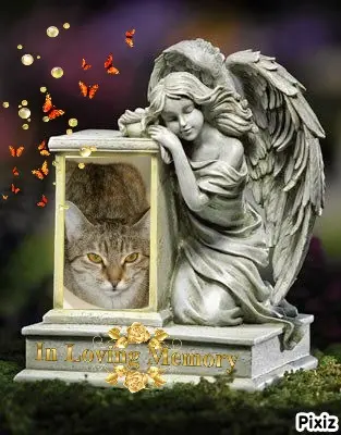 Condolence image of Tanja mit Timmy im Herzen