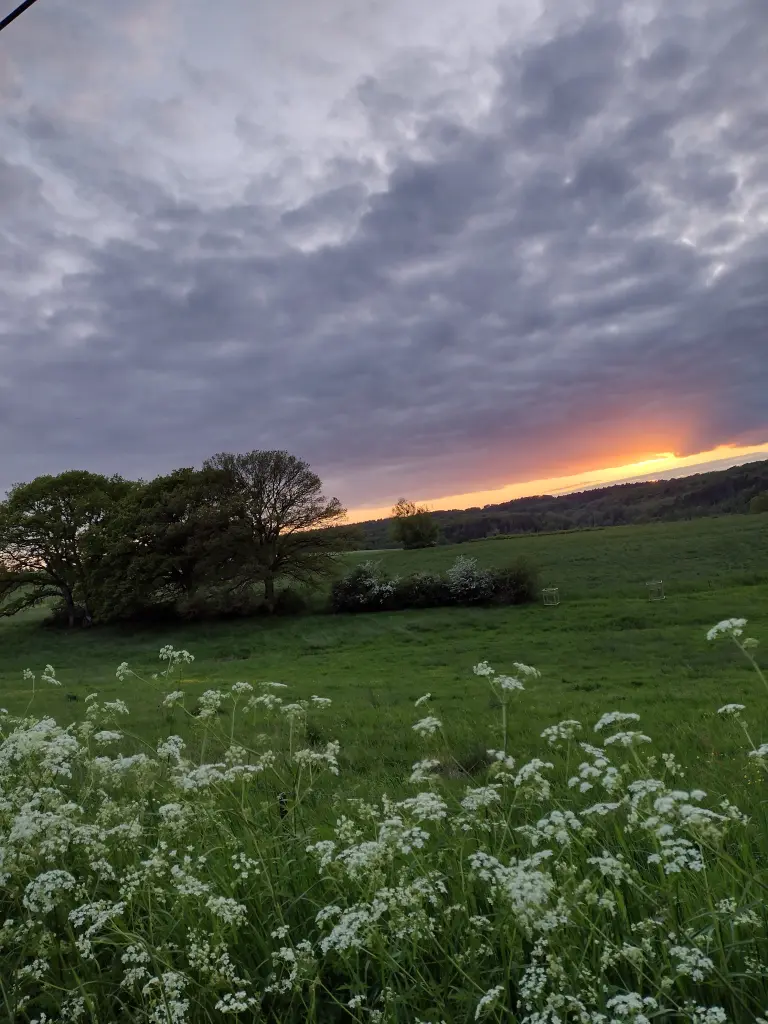 Condolence image of Corinna mit Emma, Pummelchen und anderen Sternlein im ❤️