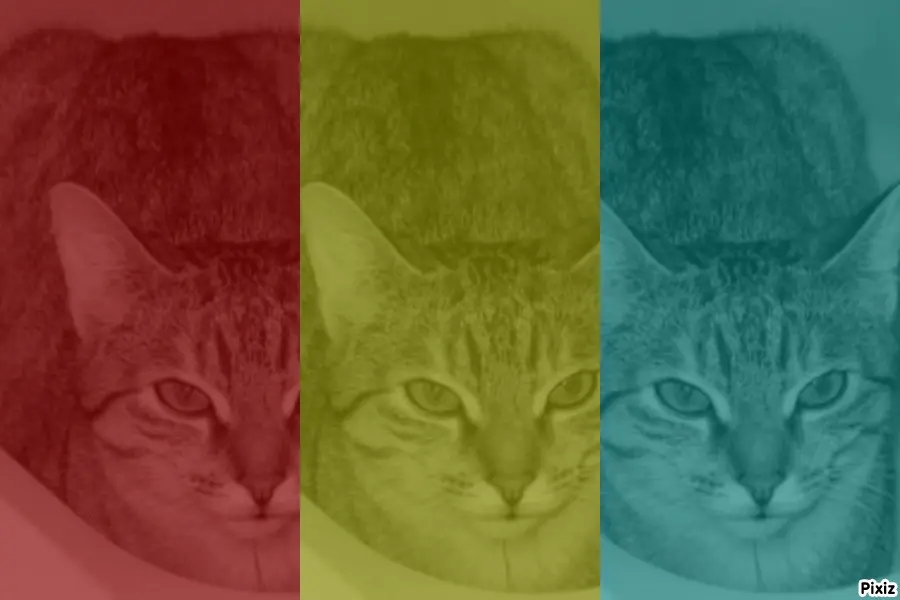 Condolence image of Tanja mit Timmy im Herzen