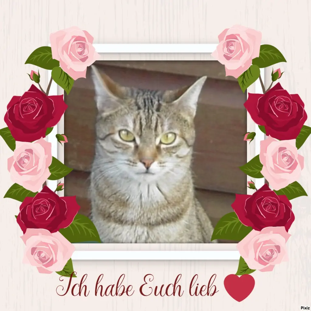 Condolence image of Patricia mit Bunny 