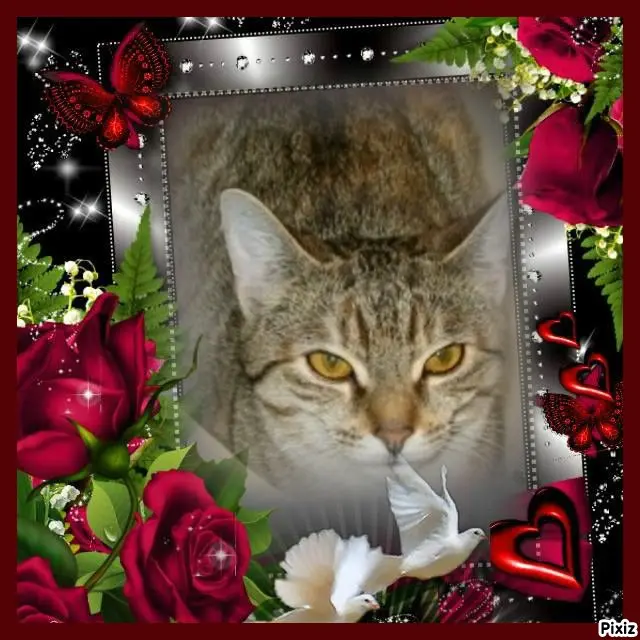 Condolence image of Tanja mit Timmy im Herzen 