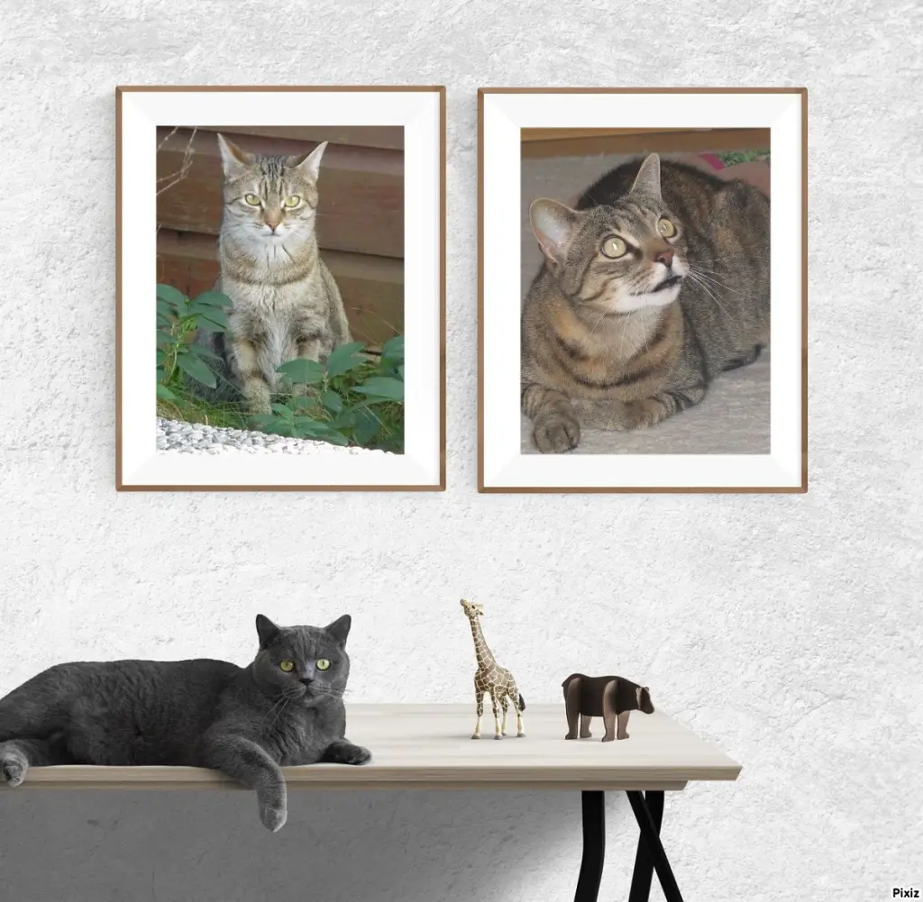 Condolence image of Patricia mit Bunny ❤️ 