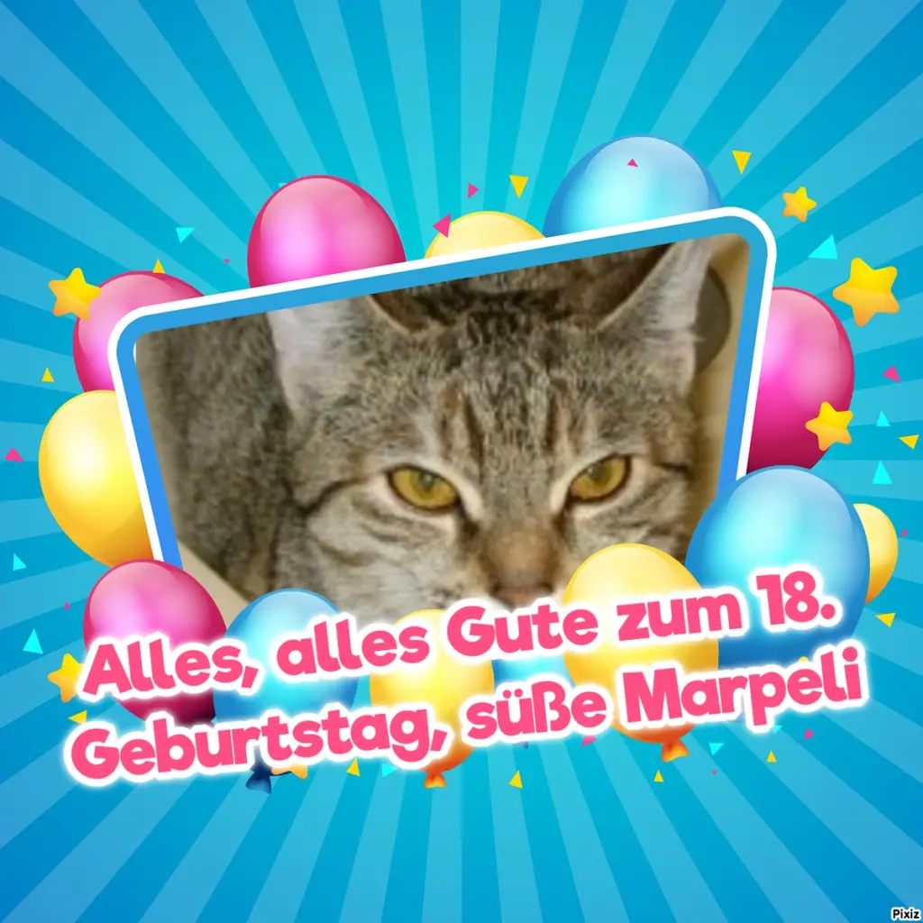 Condolence image of Tanja mit Timmy im Herzen 