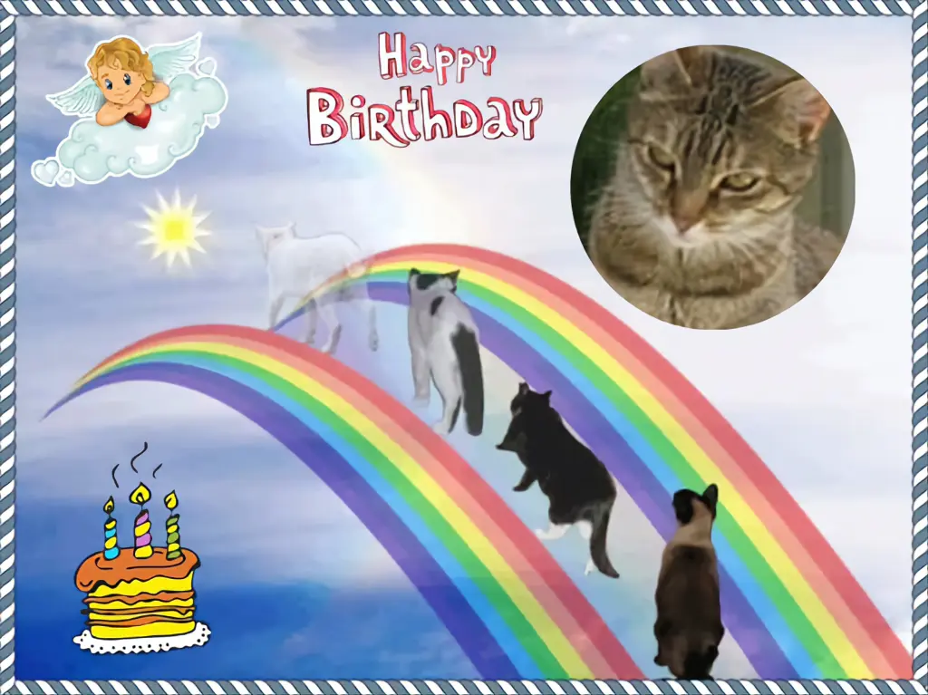 Condolence image of 18. Geburtstag❤️❤️❤️❤️❤️❤️❤️❤️❤️❤️❤️❤️❤️❤️❤️❤️❤️❤️