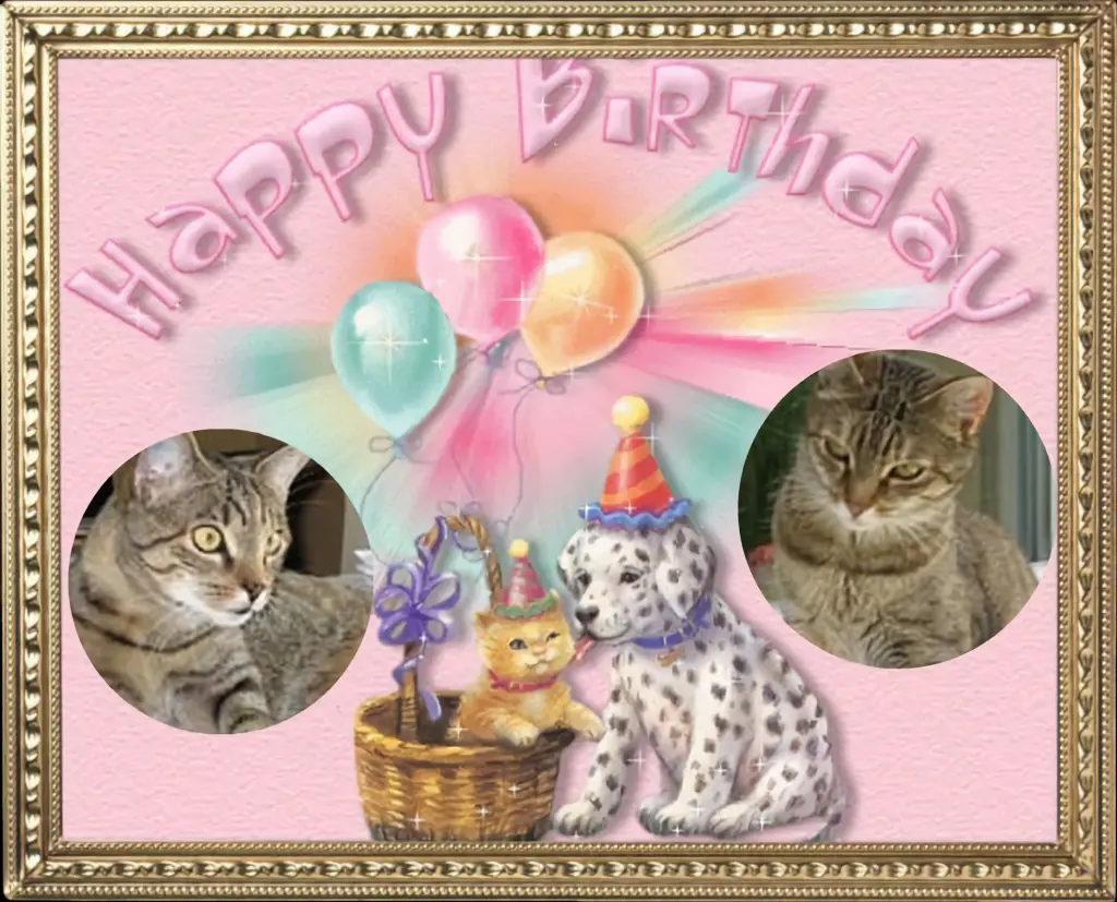 Condolence image of 18. Geburtstag❤️❤️❤️❤️❤️❤️❤️❤️❤️❤️❤️❤️❤️❤️❤️❤️❤️❤️