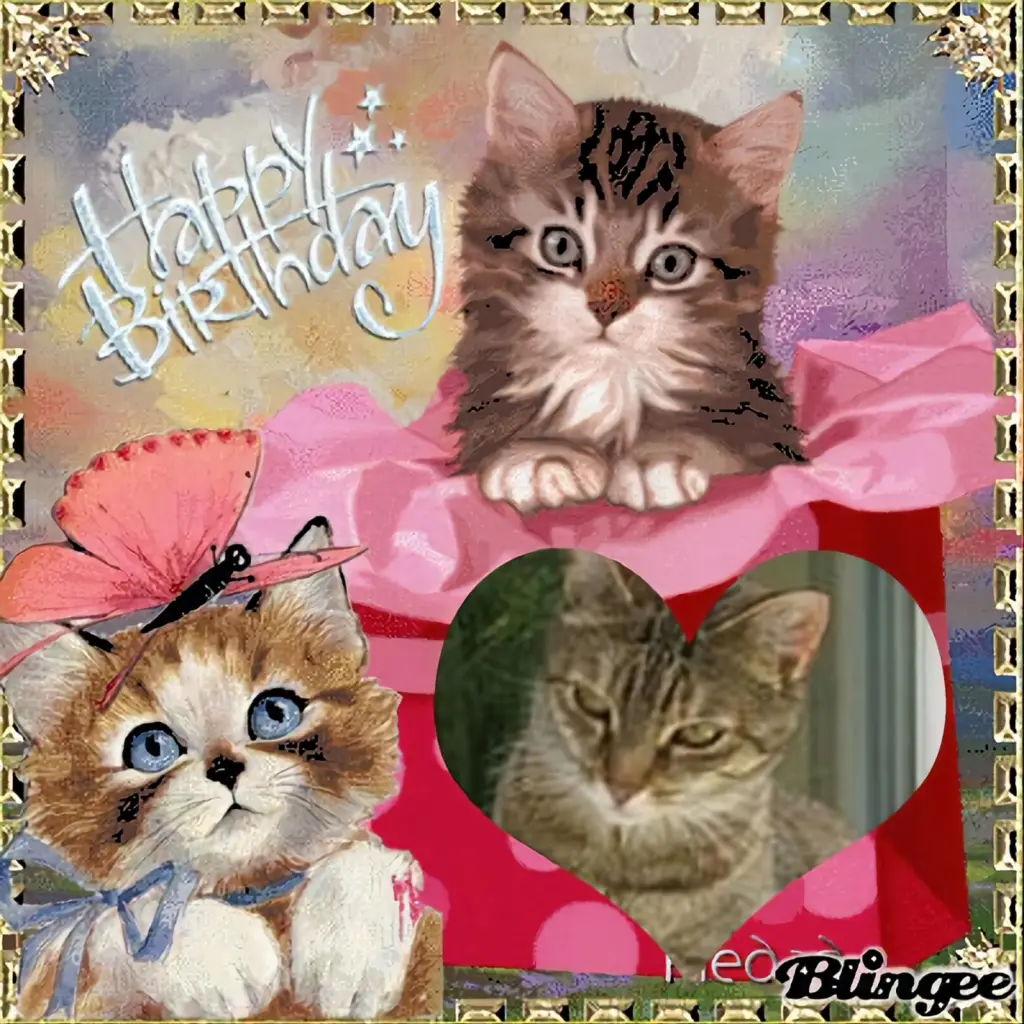 Condolence image of ❤️❤️❤️❤️❤️❤️❤️❤️❤️❤️❤️❤️